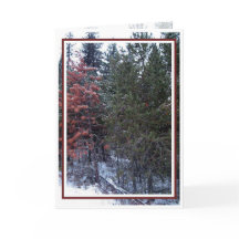 Christmas, New Year, Holiday - Blank