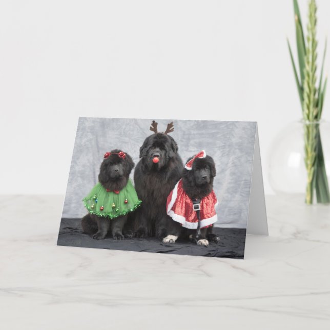Christmas Newfies Greeting Card (Front)