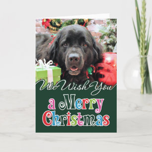 Christmas - Newfoundland - Izzie Holiday Card