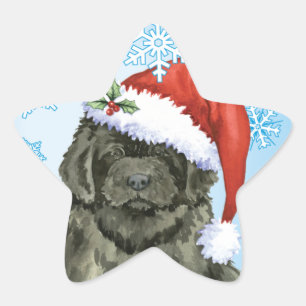 Christmas Newfoundland Star Sticker