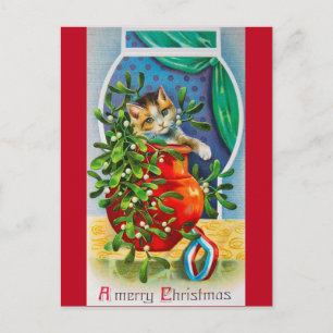 Christmas, Noel Kitten Postcard