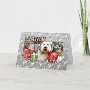Christmas - Old English Sheepdog - Alphy Holiday Card