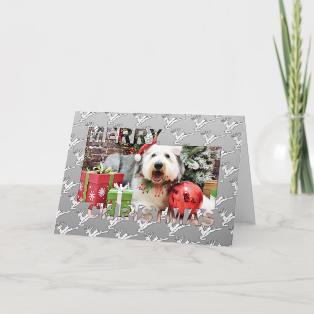 Christmas - Old English Sheepdog - Alphy Holiday Card (Front)