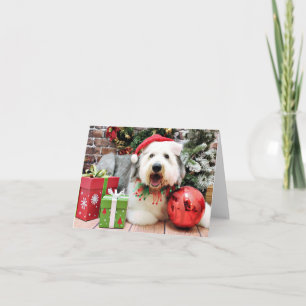 Christmas - Old English Sheepdog - Alphy Holiday Card