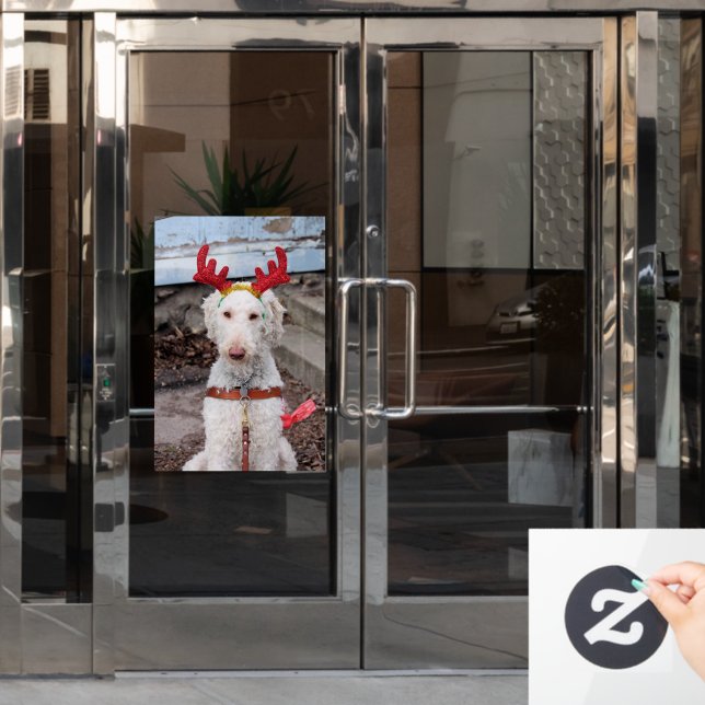 Christmas Ollie (Office Door)