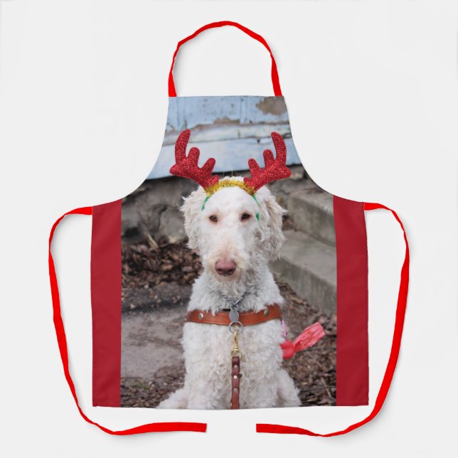Christmas Ollie Apron (Front)