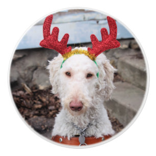 Christmas Ollie Ceramic Knob