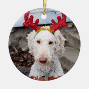 Christmas Ollie Ceramic Ornament
