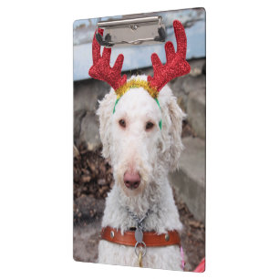 Christmas Ollie   Clipboard