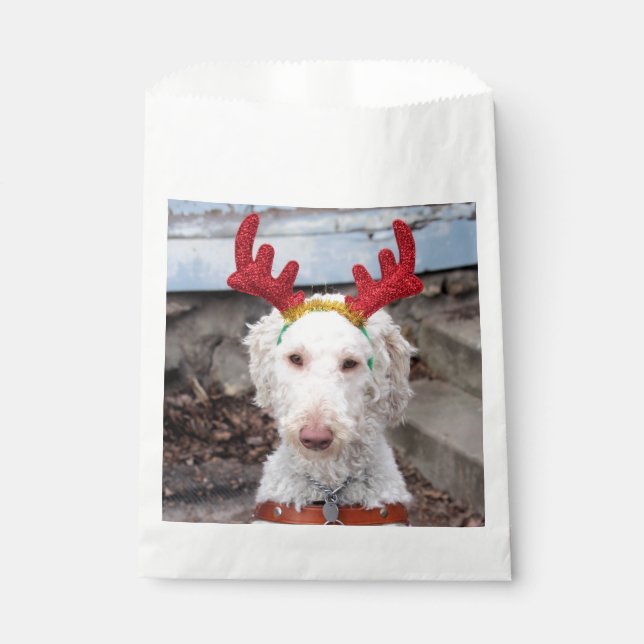 Christmas Ollie Favour Bag (Front)