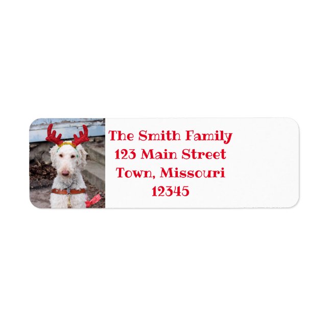 Christmas Ollie Return Address Label (Front)