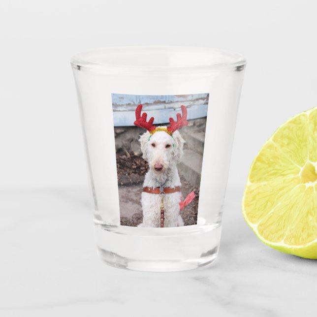 Christmas Ollie Shot Glass (Front)
