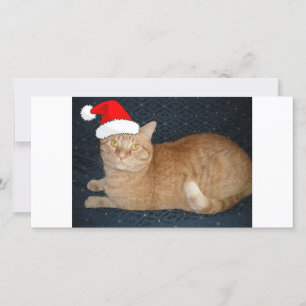 Christmas Orange Tabby Cat Holiday Card