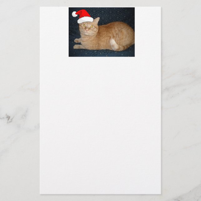 Christmas Orange Tabby Cat Stationery (Front)