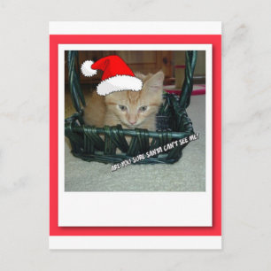 Christmas Orange Tabby Kitten Holiday Postcard