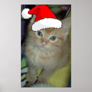 Christmas Orange Tabby Kitten Poster