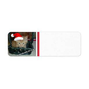 Christmas Orange Tabby Kitten Return Address Label