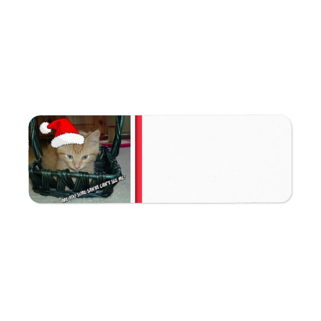 Christmas Orange Tabby Kitten Return Address Label (Front)