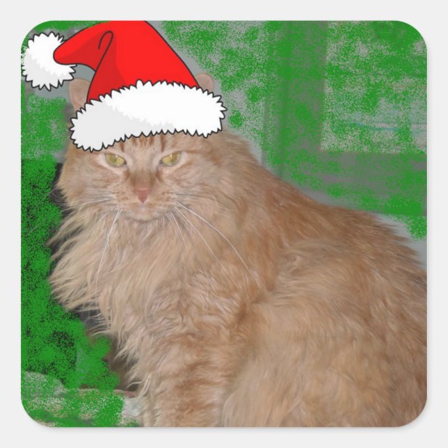 Christmas Orange Tabby Kitten Square Sticker (Front)