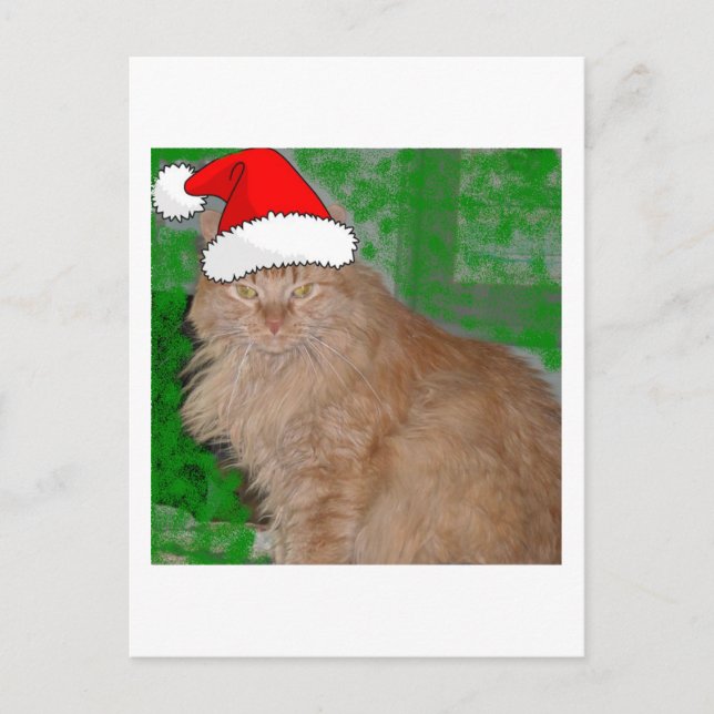 Christmas Orange Tabby Kitty Cat Holiday Postcard (Front)