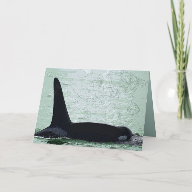 Christmas Orca San Juan Island Merry Christmas Holiday Card (Front)