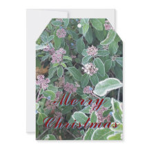 Christmas Ornament Card