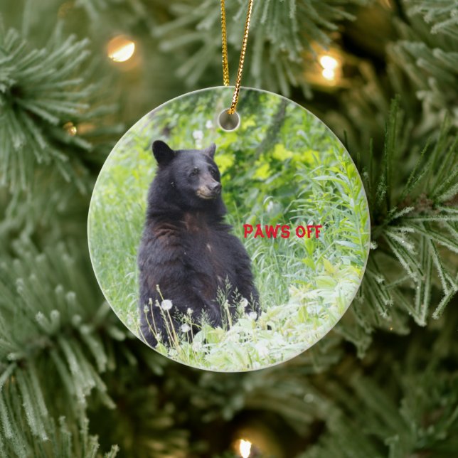 Christmas ornament featuring black bear (Tree)