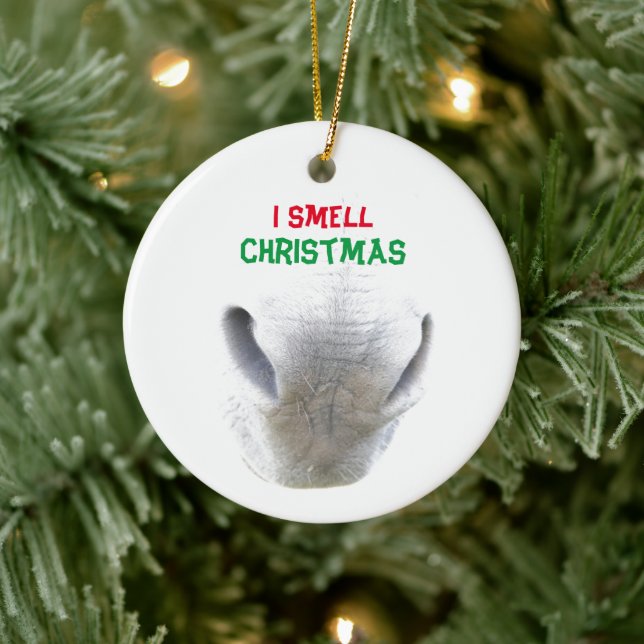 Christmas ornament featuring donkey nose (Tree)