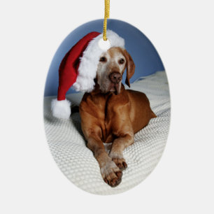 Christmas Ornament (Flynn)