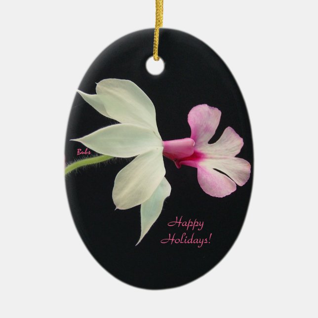 Christmas Ornament Orchid (Front)