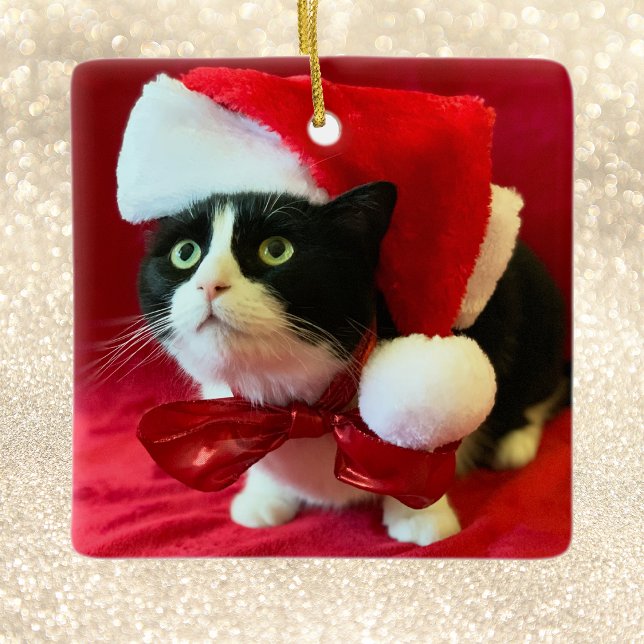Christmas Ornament Peaches the Tuxedo Cat (Creator Uploaded)