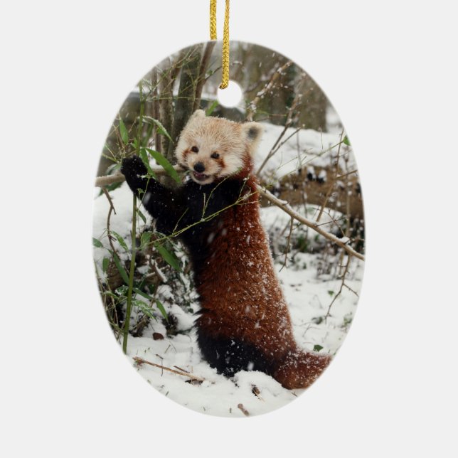 Christmas ornament - red panda (Back)