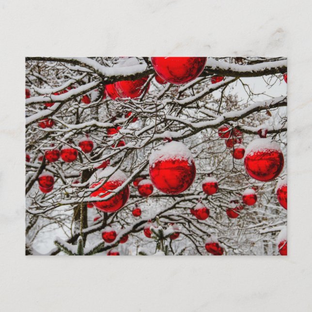 Christmas ornaments red baubles tree snow branches holiday postcard (Front)