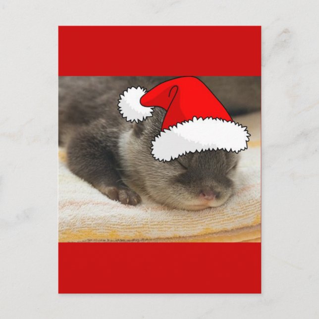 Christmas Otter Holiday Postcard (Front)