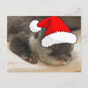 Christmas Otter Holiday Postcard