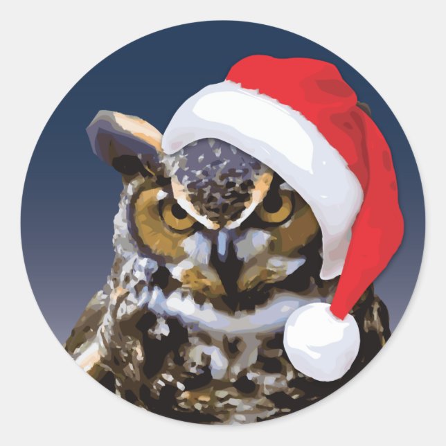 Christmas Owl - Classic Round Sticker, Glossy Sticker (Front)