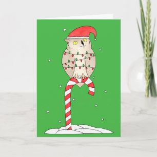 Christmas Owl Cute Funny Holiday Card