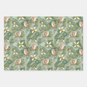 Christmas Owl on Evergreen Branch Green Wrapping Paper Sheet