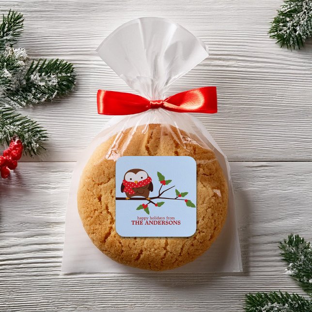 Christmas Owl Square Sticker (Creator Uploaded)