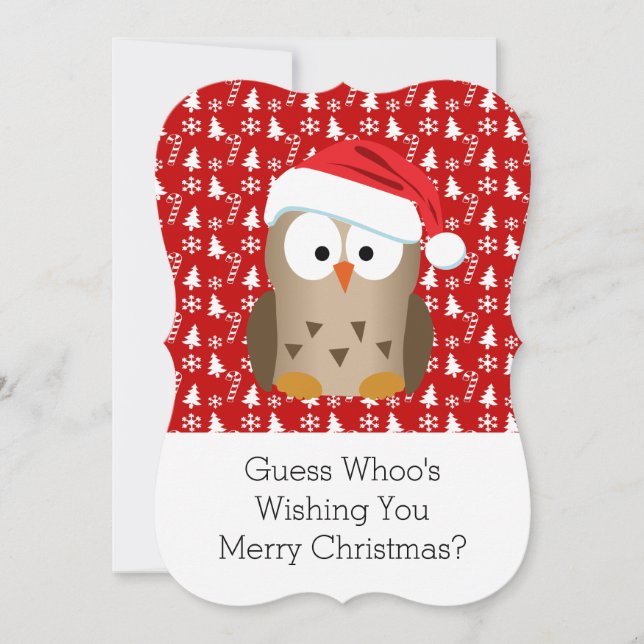 Christmas Owl with Santa Hat Photo Greeting Holiday Card (Front)