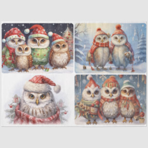 Christmas Owls  Tissue Paper