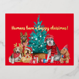 Christmas pack of dogs under the tree postcard