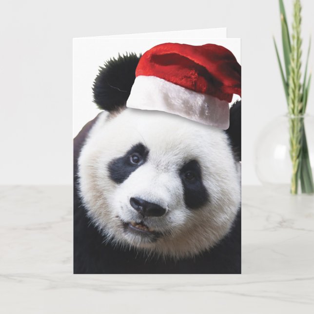 Christmas Panda Bear Holiday Card (Front)