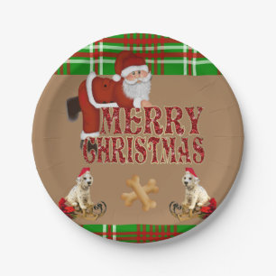 Christmas Paper Plates, Santa Plate