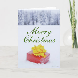 Christmas parcel in snowy landscape holiday card