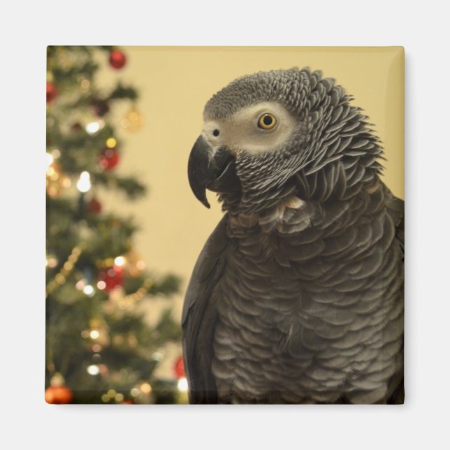 Christmas Parrot Magnet (Front)