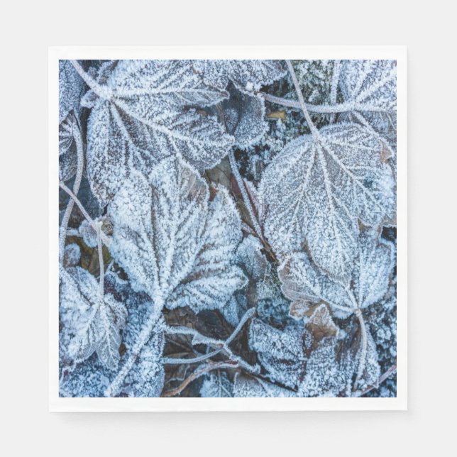 Christmas Party Blue Leaves Snow Holidays Winter Napkin (Front)