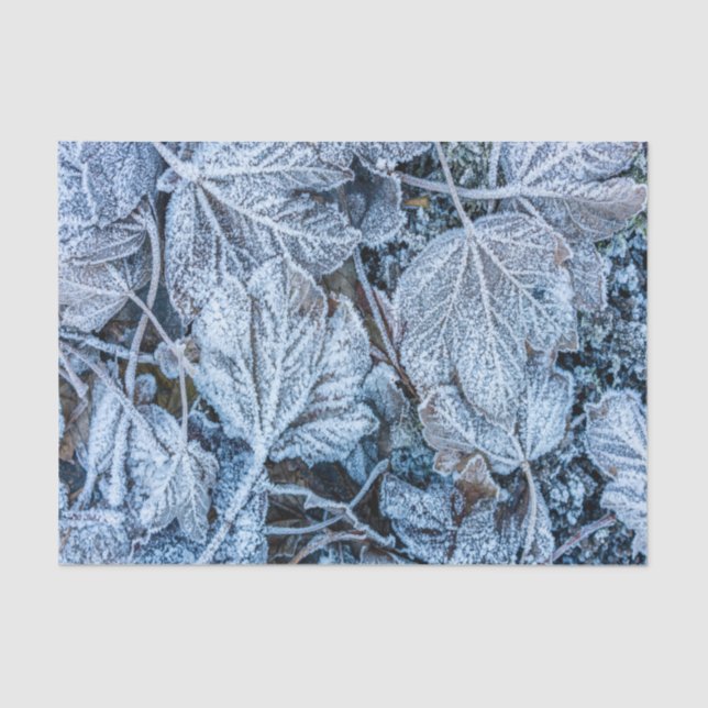 Christmas Party Blue Leaves Snow Holidays Winter Tissue Paper (Front)