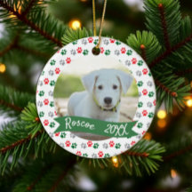 Christmas Paws Pet Photo