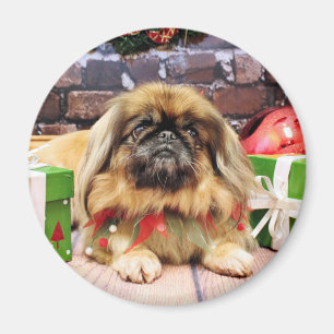 Christmas - Pekingese - Pebbles Magnet